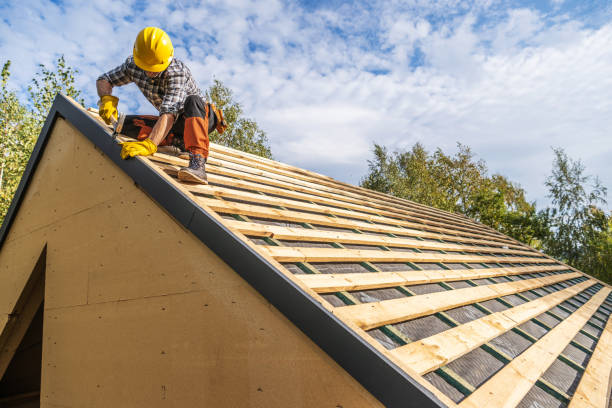 Roof Gutter Cleaning in Timber Pines, FL
