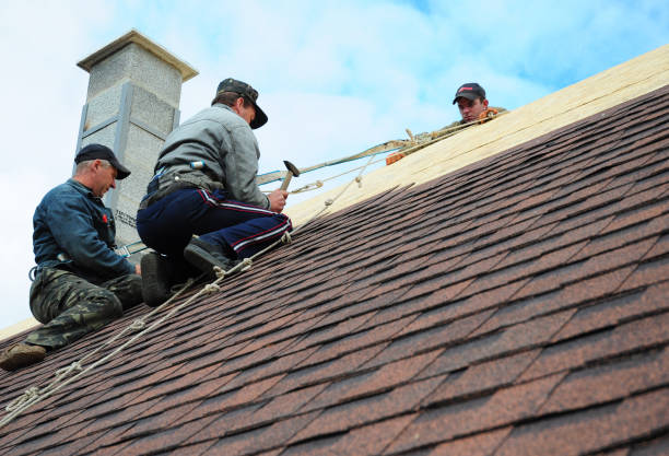 Quick and Trustworthy Emergency Roof Repair Services in Timber Pines, FL